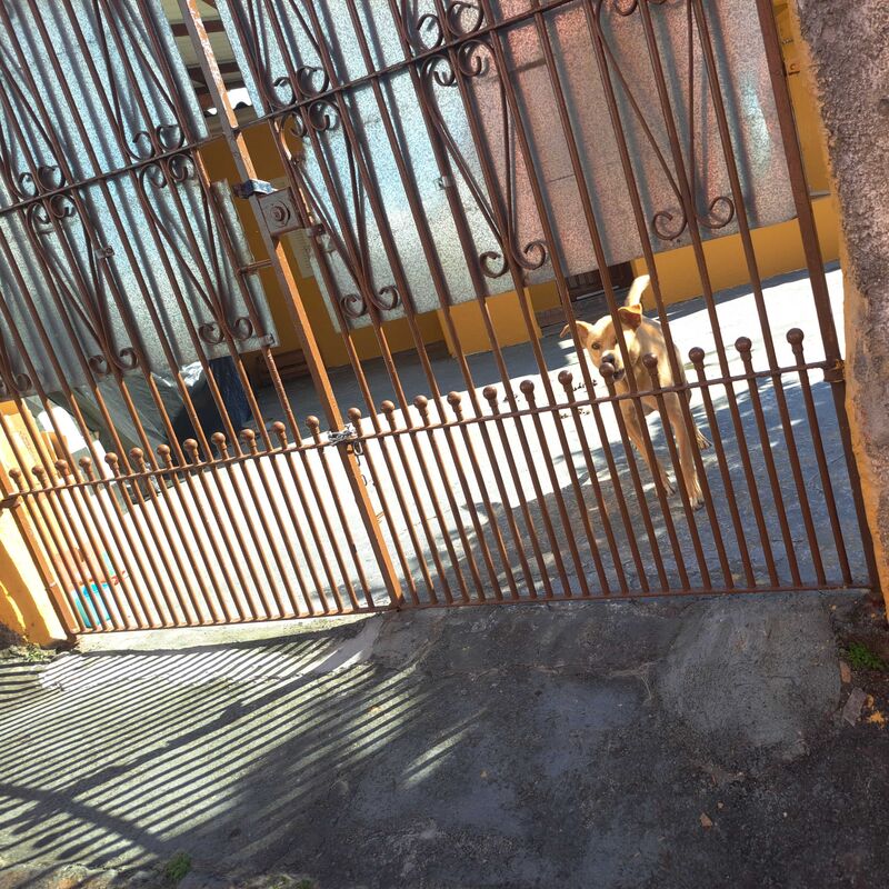 Imagem da publicação