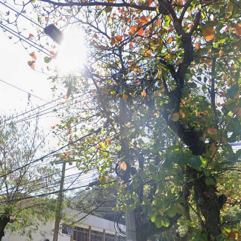 Imagem da publicação