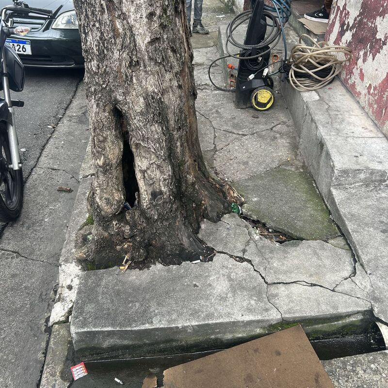 Imagem da publicação