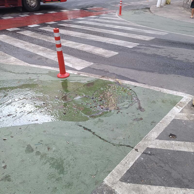Imagem da publicação