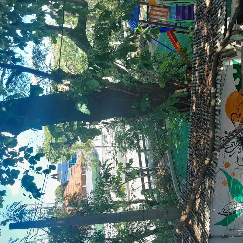 Imagem da publicação