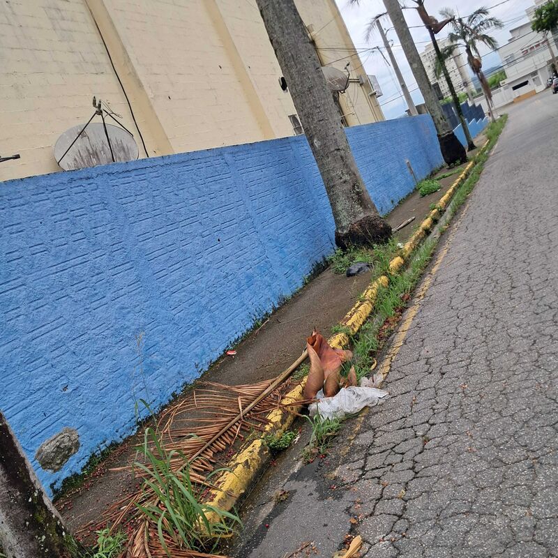 Imagem da publicação