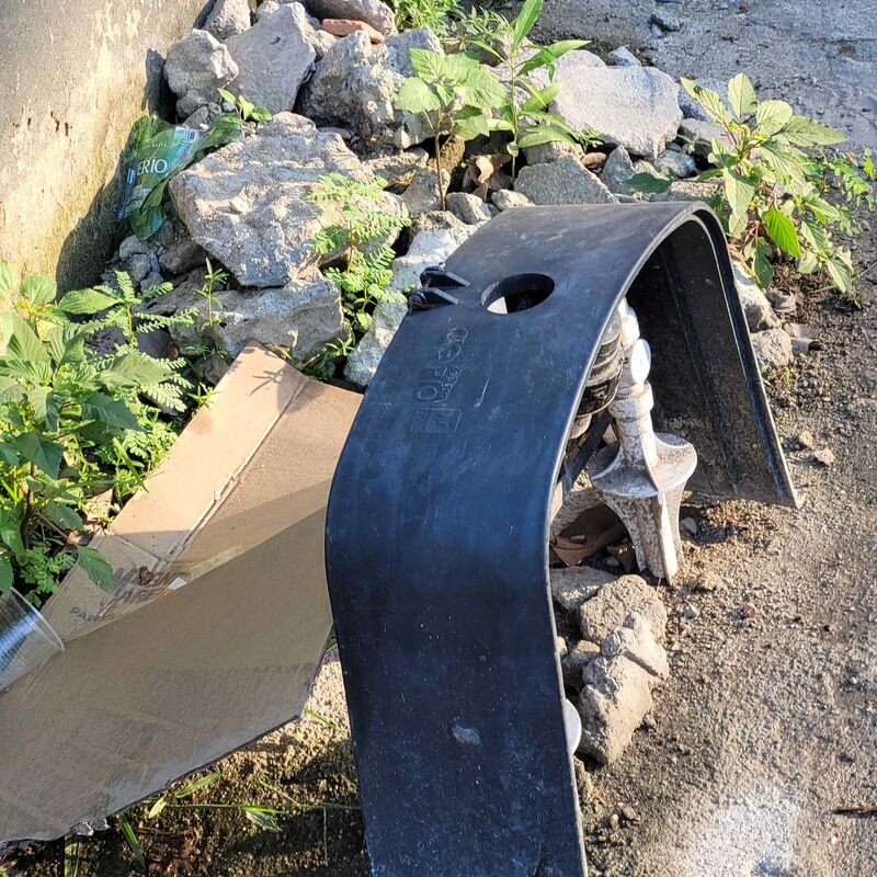 Imagem da publicação