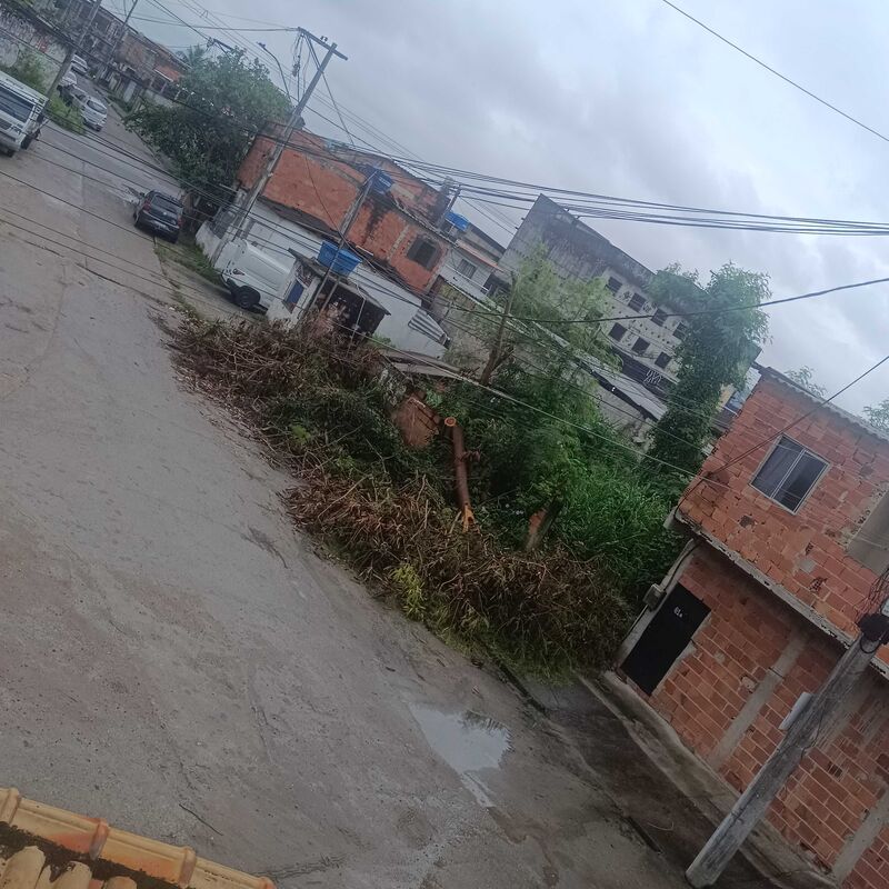 Imagem da publicação