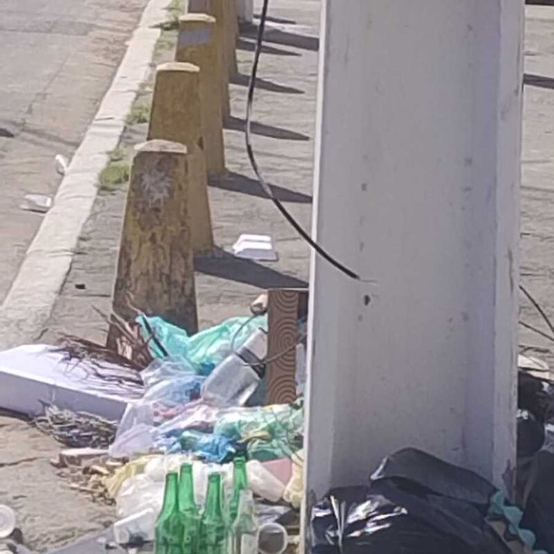 Imagem da publicação