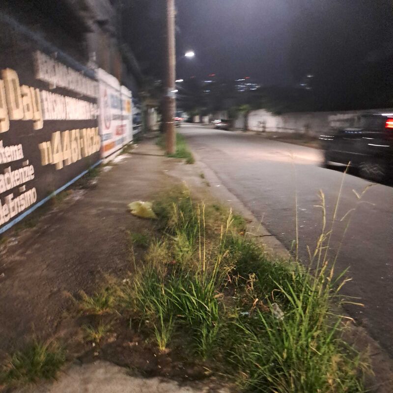 Imagem da publicação