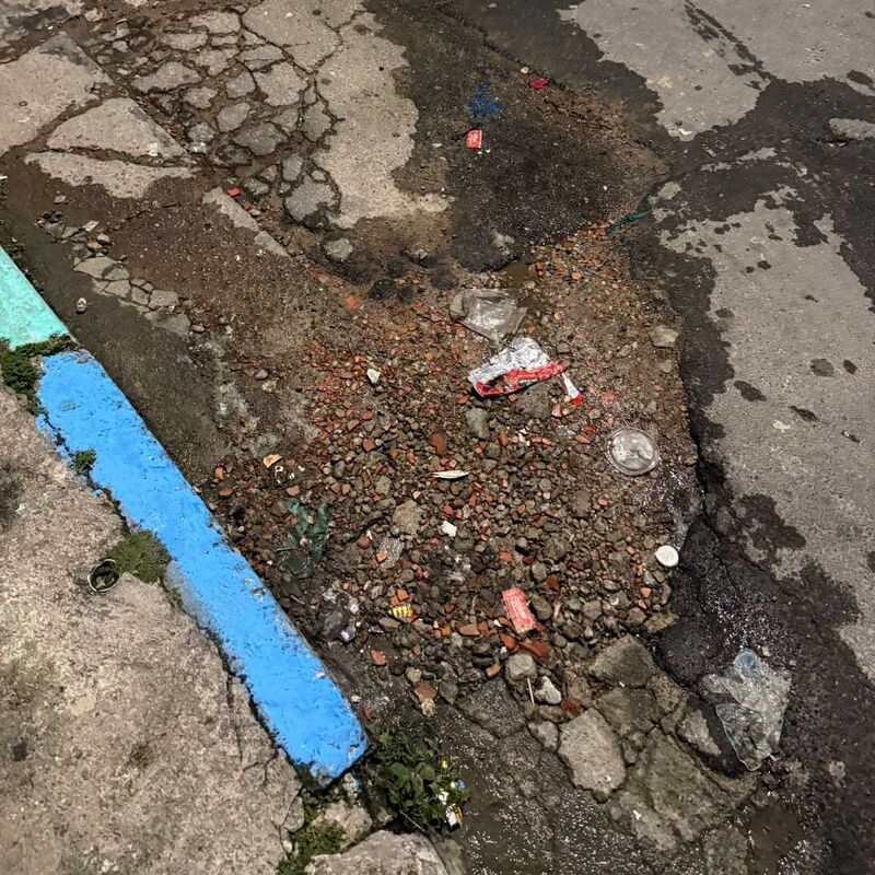 Imagem da publicação