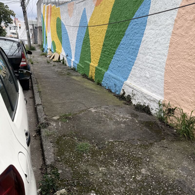 Imagem da publicação