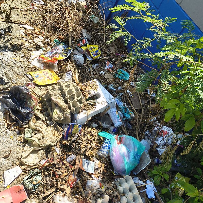 Imagem da publicação