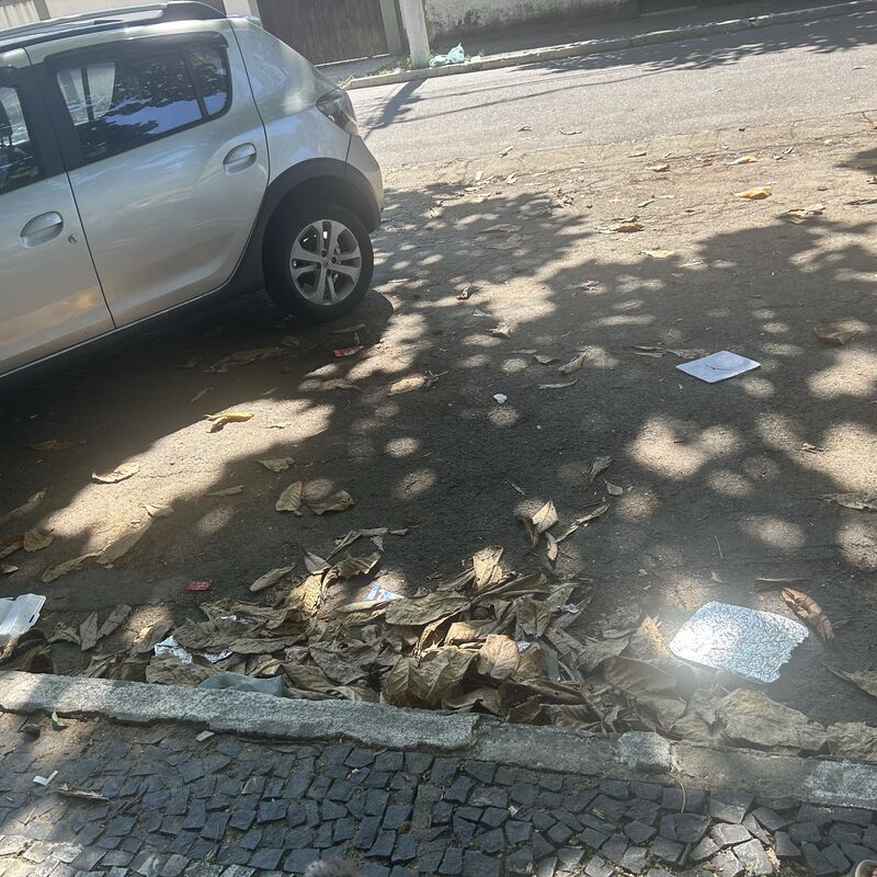 Imagem da publicação