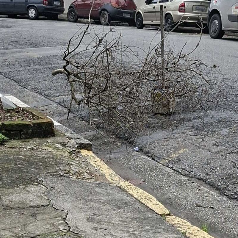 Imagem da publicação