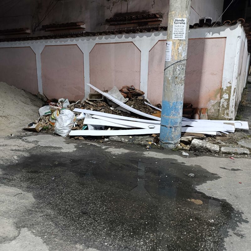 Imagem da publicação