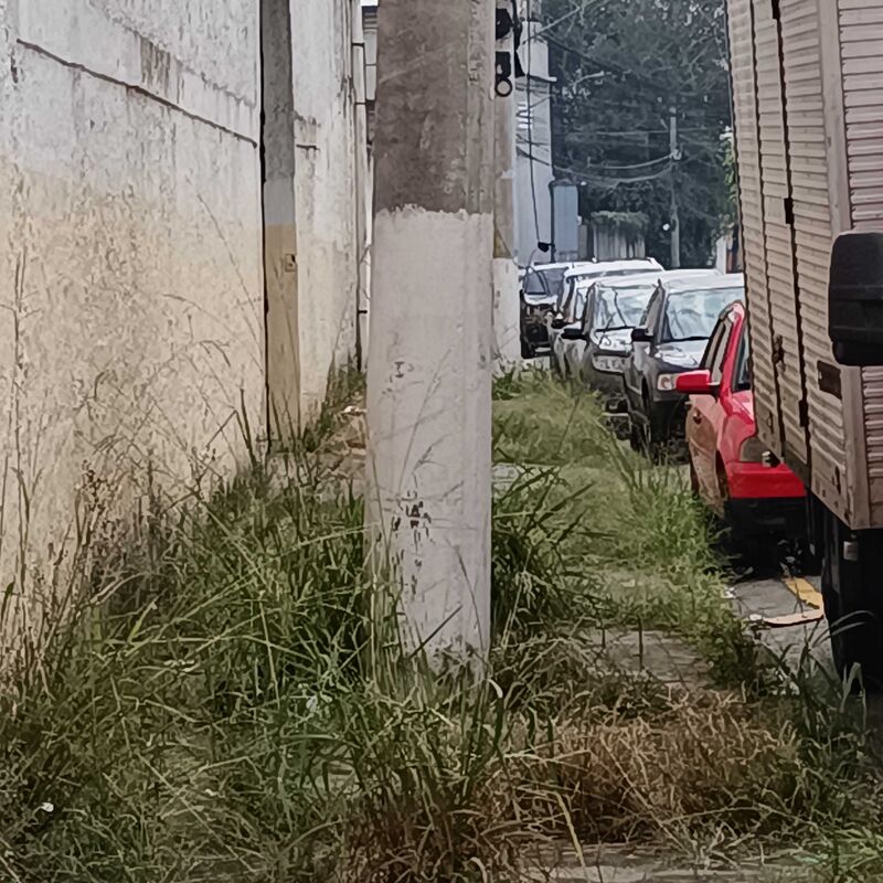 Imagem da publicação