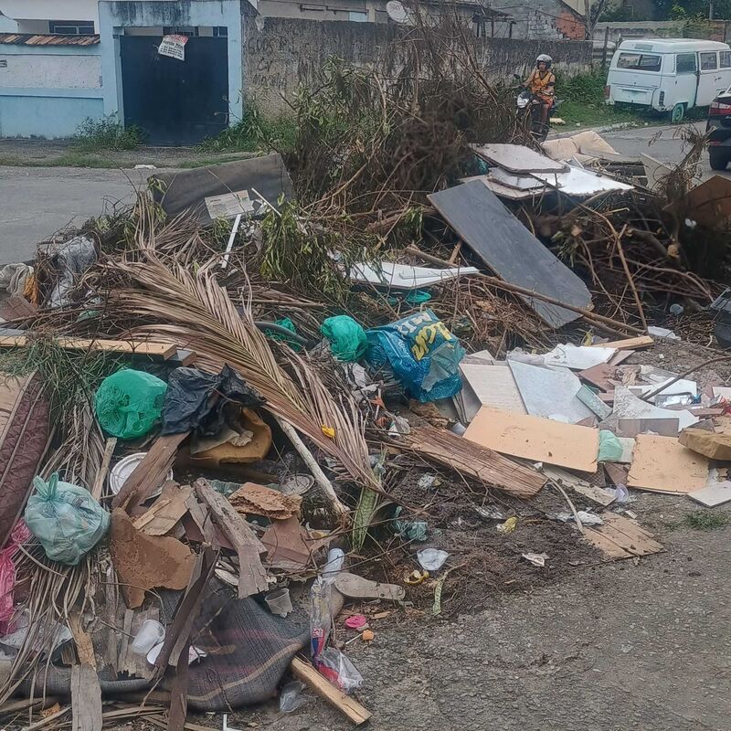 Imagem da publicação