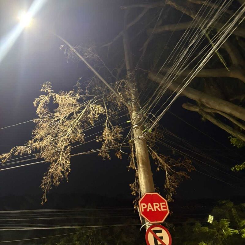 Imagem da publicação
