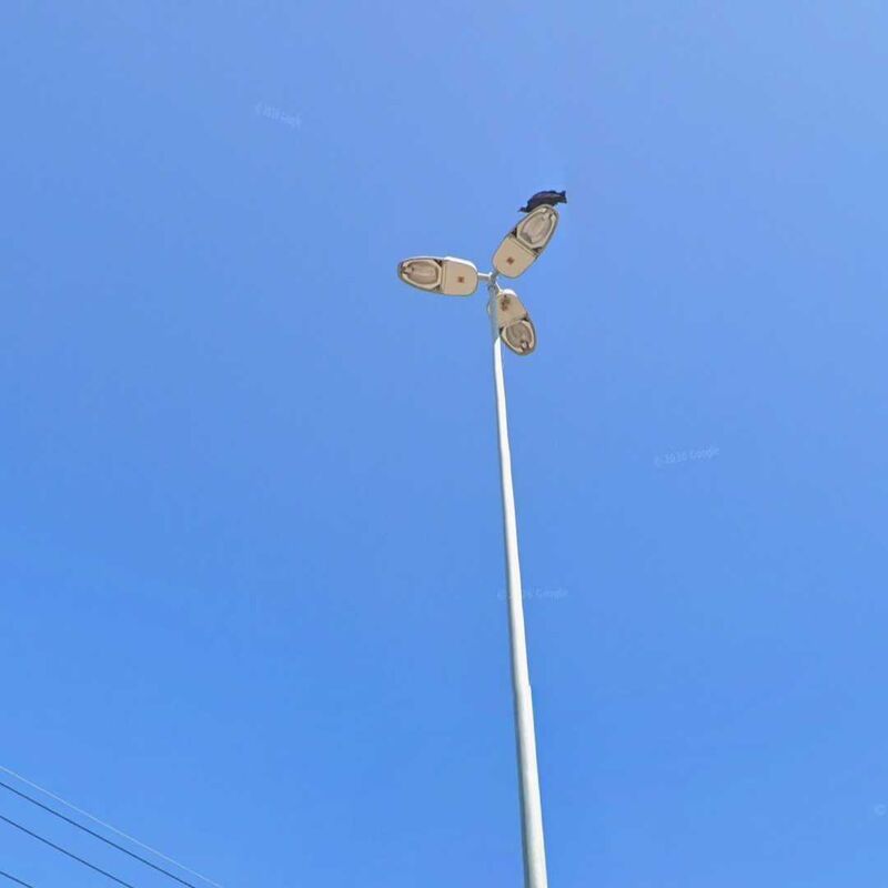 Imagem da publicação