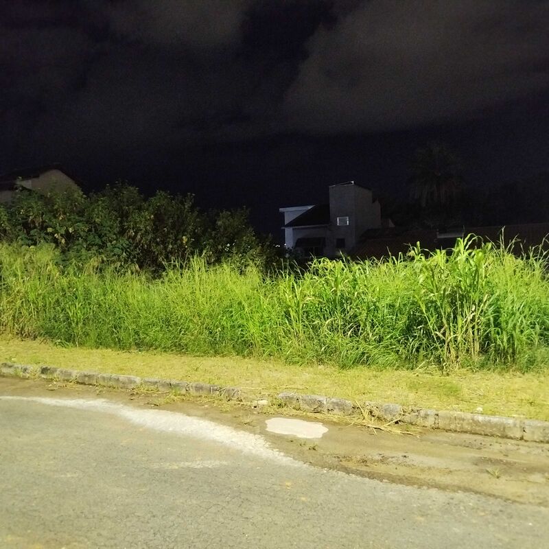 Imagem da publicação