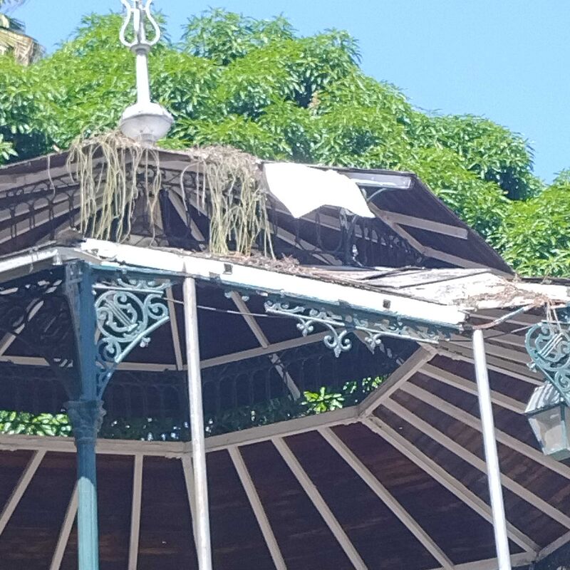 Imagem da publicação