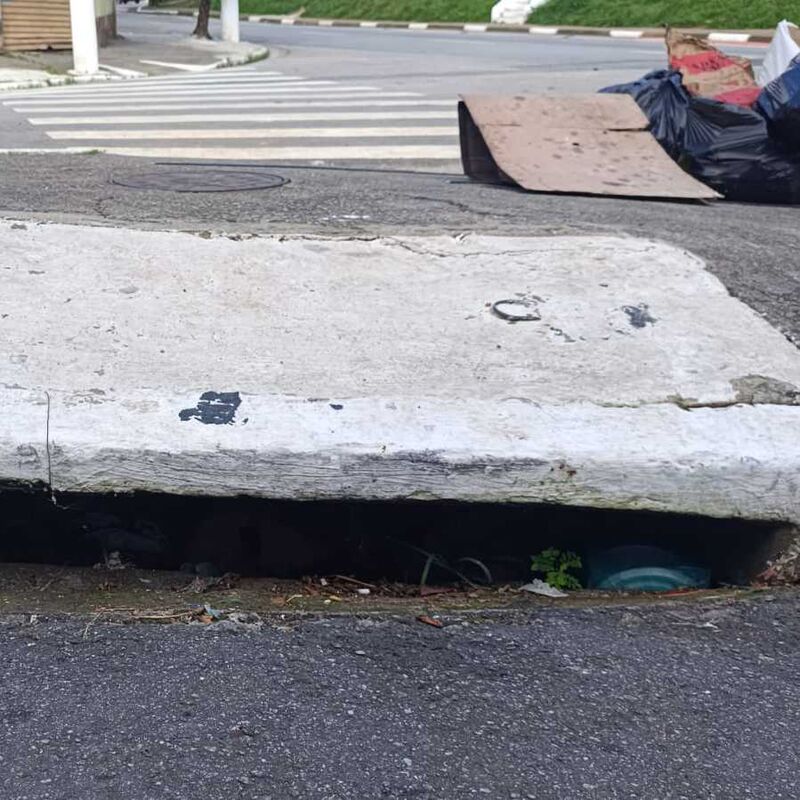 Imagem da publicação