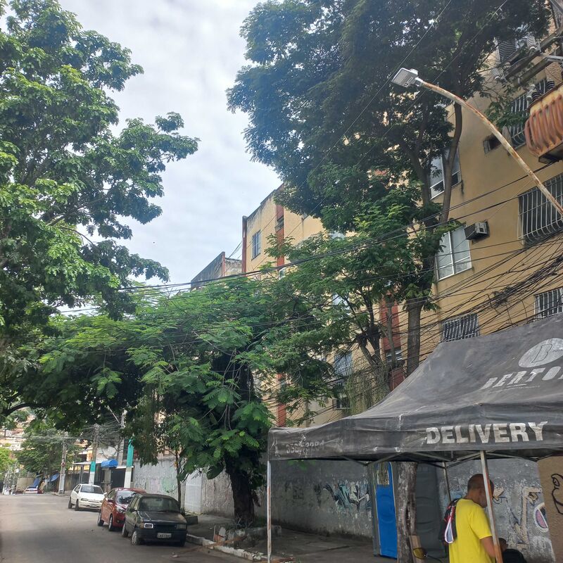 Imagem da publicação