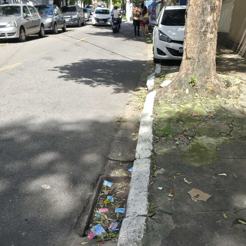 Imagem da publicação