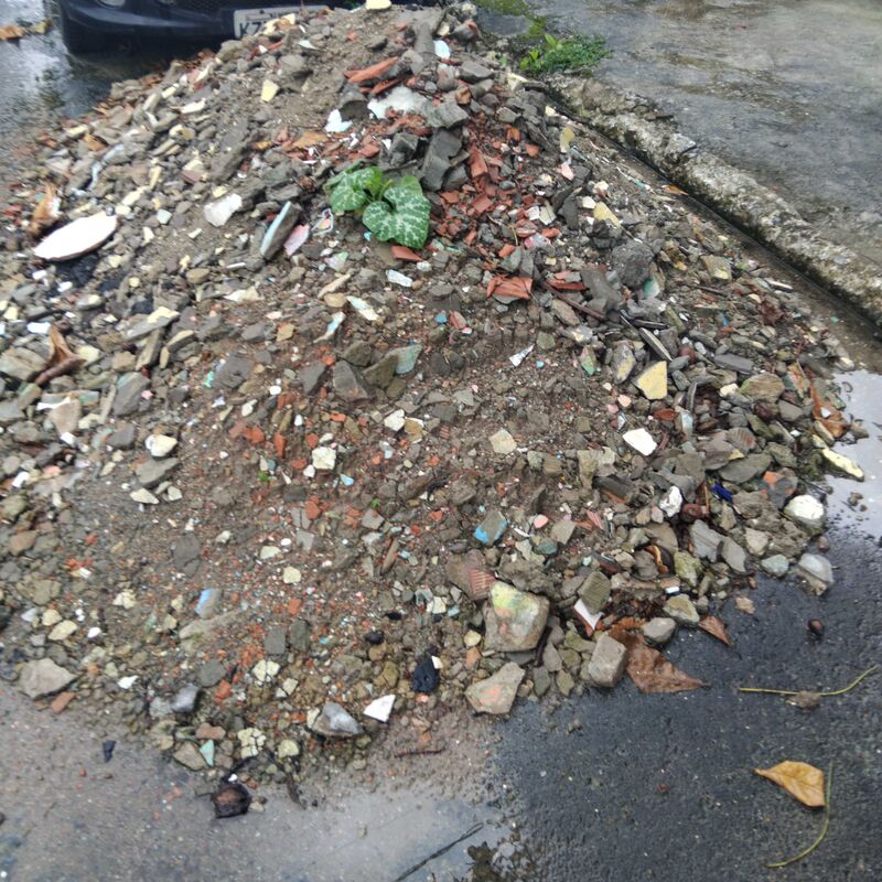 Imagem da publicação