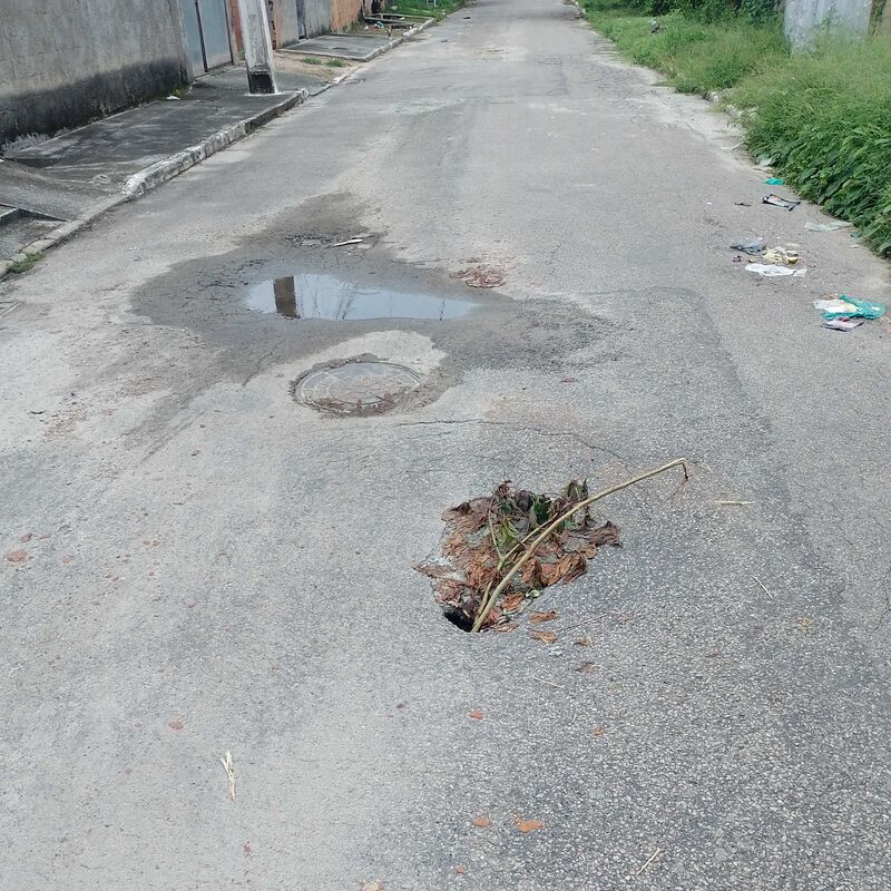 Imagem da publicação