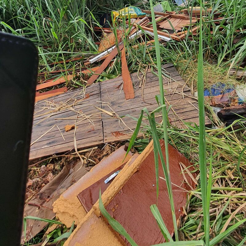 Imagem da publicação