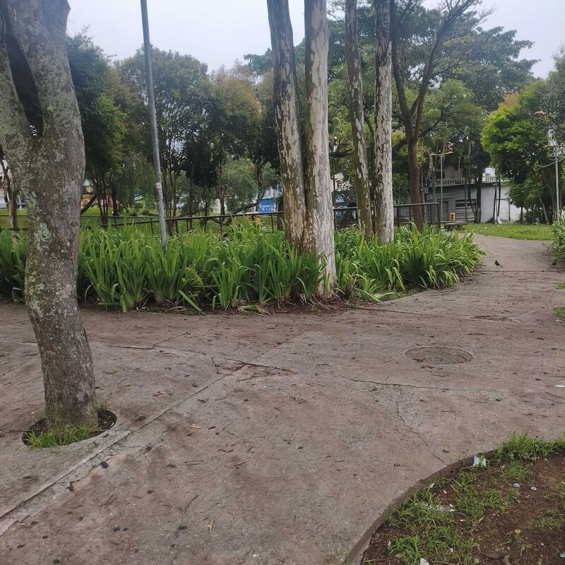 Imagem da publicação