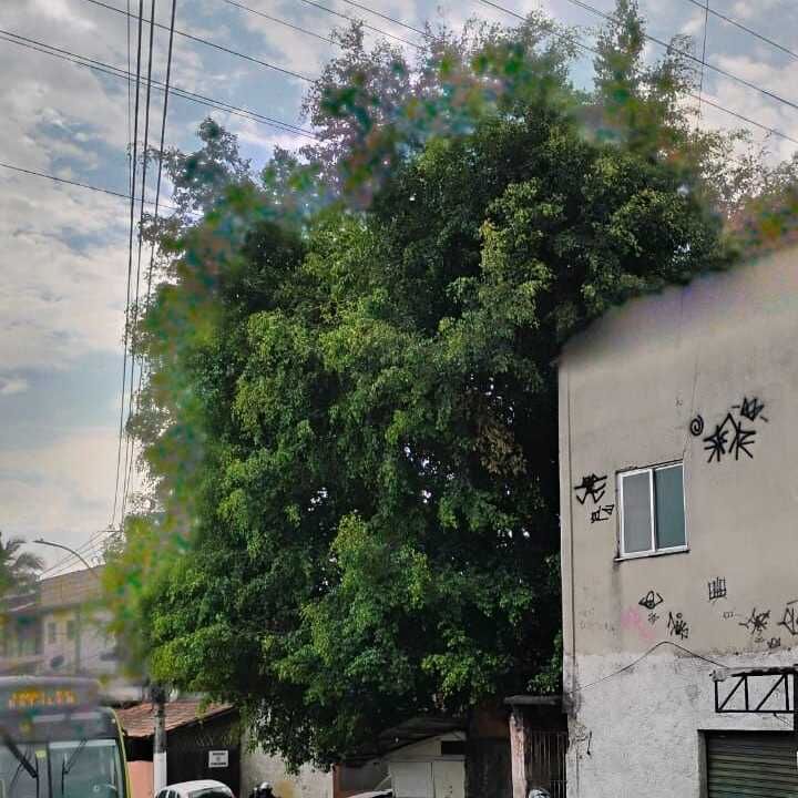 Imagem da publicação