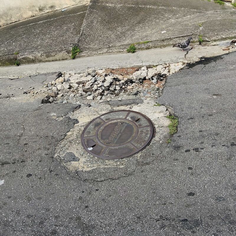 Imagem da publicação