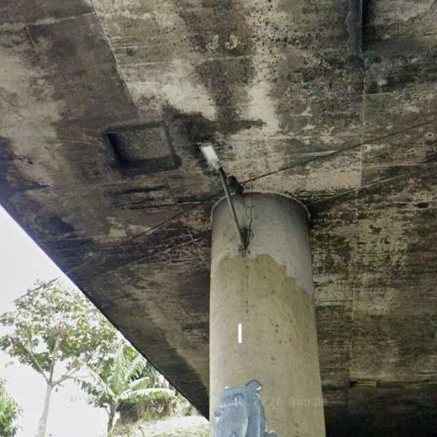 Imagem da publicação