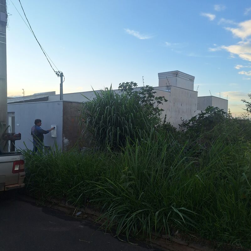 Imagem da publicação