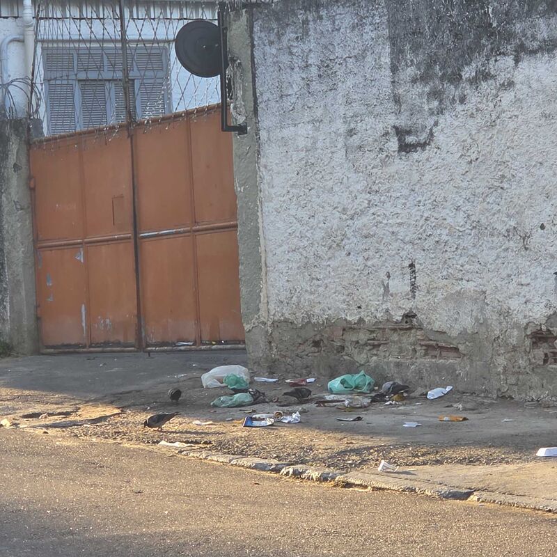 Imagem da publicação