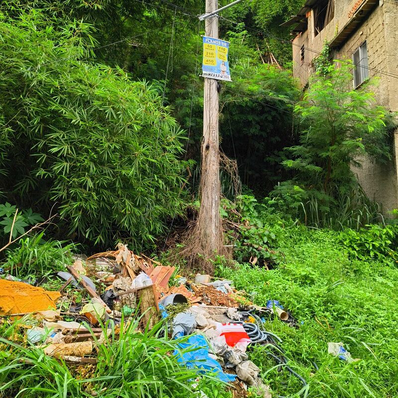 Imagem da publicação