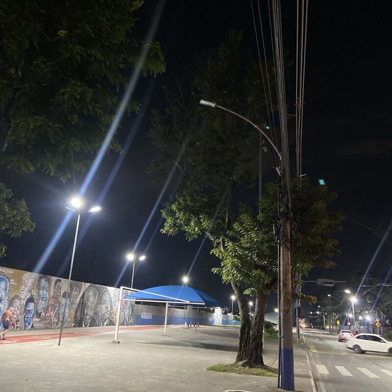 Imagem da publicação