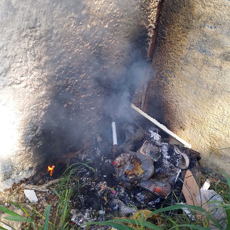 Imagem da publicação