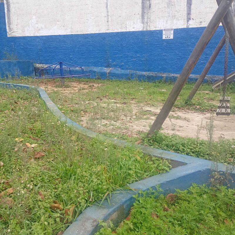 Imagem da publicação