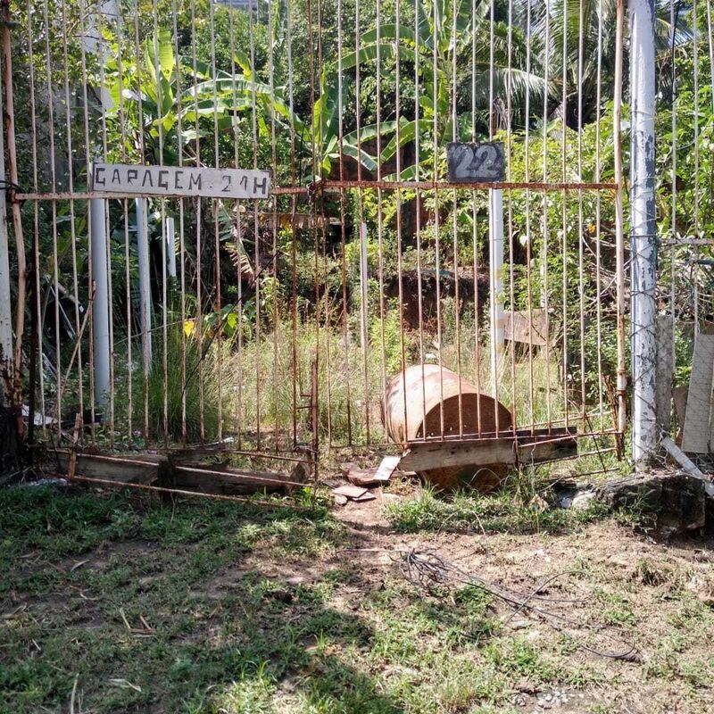 Imagem da publicação