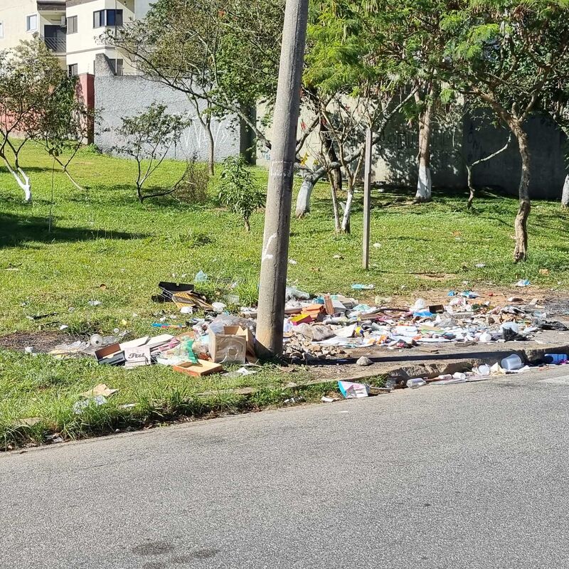 Imagem da publicação