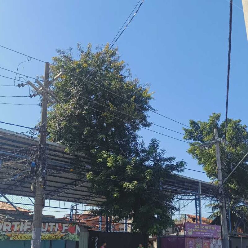 Imagem da publicação