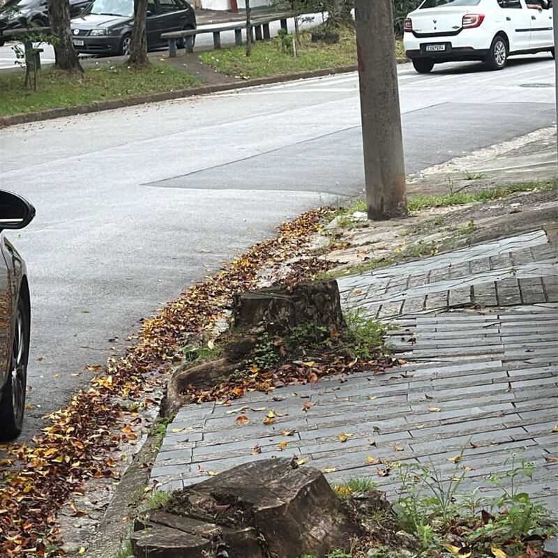 Imagem da publicação