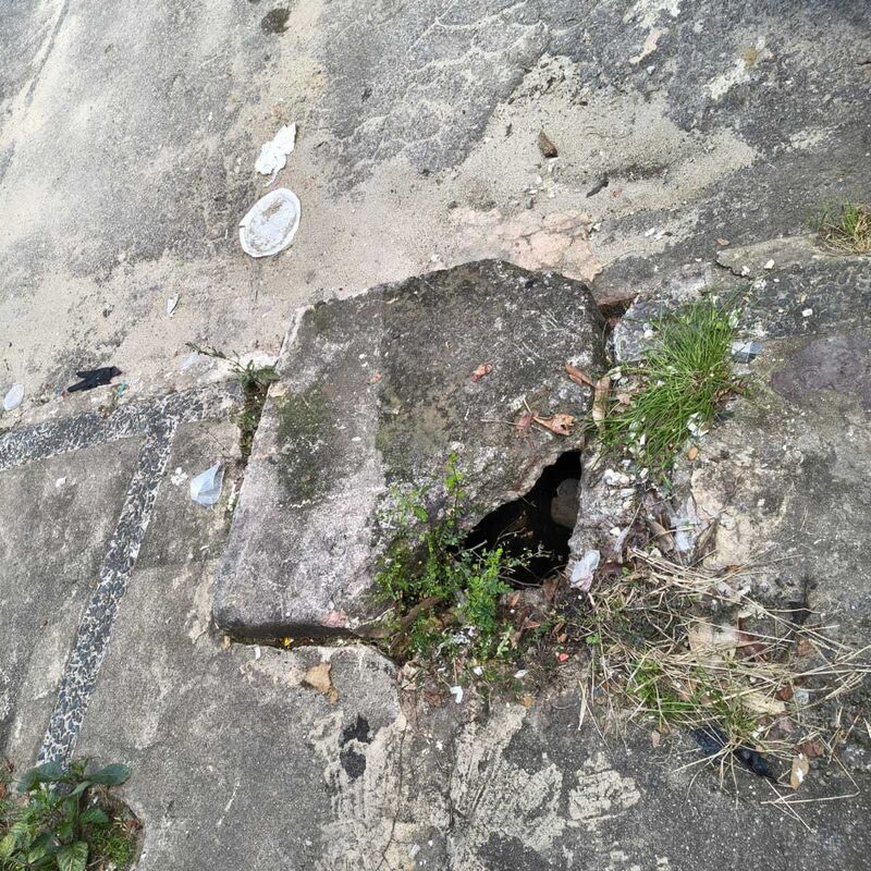 Imagem da publicação