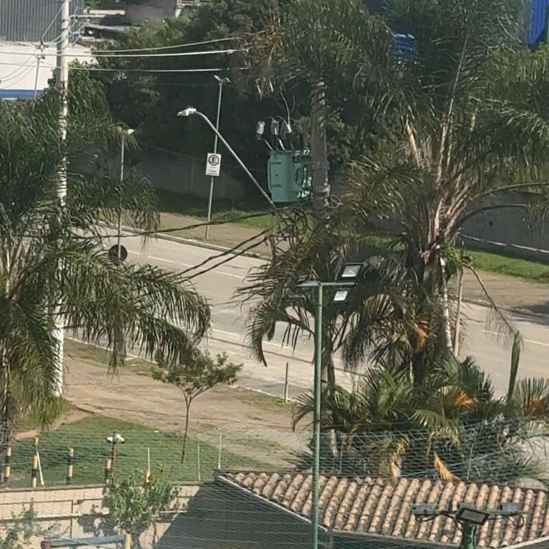 Imagem da publicação