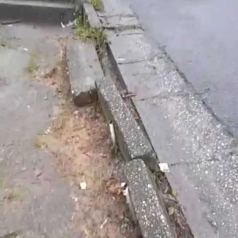Imagem da publicação