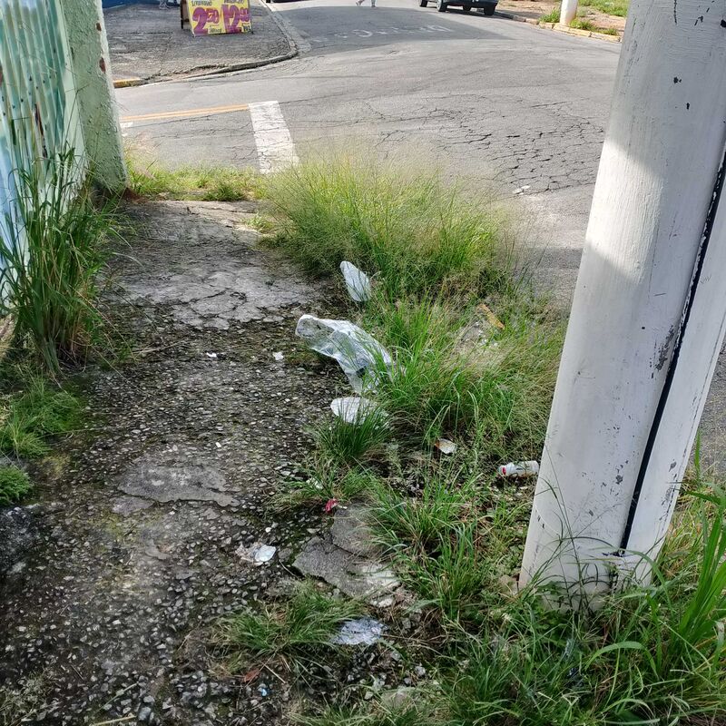 Imagem da publicação