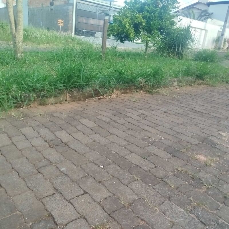 Imagem da publicação