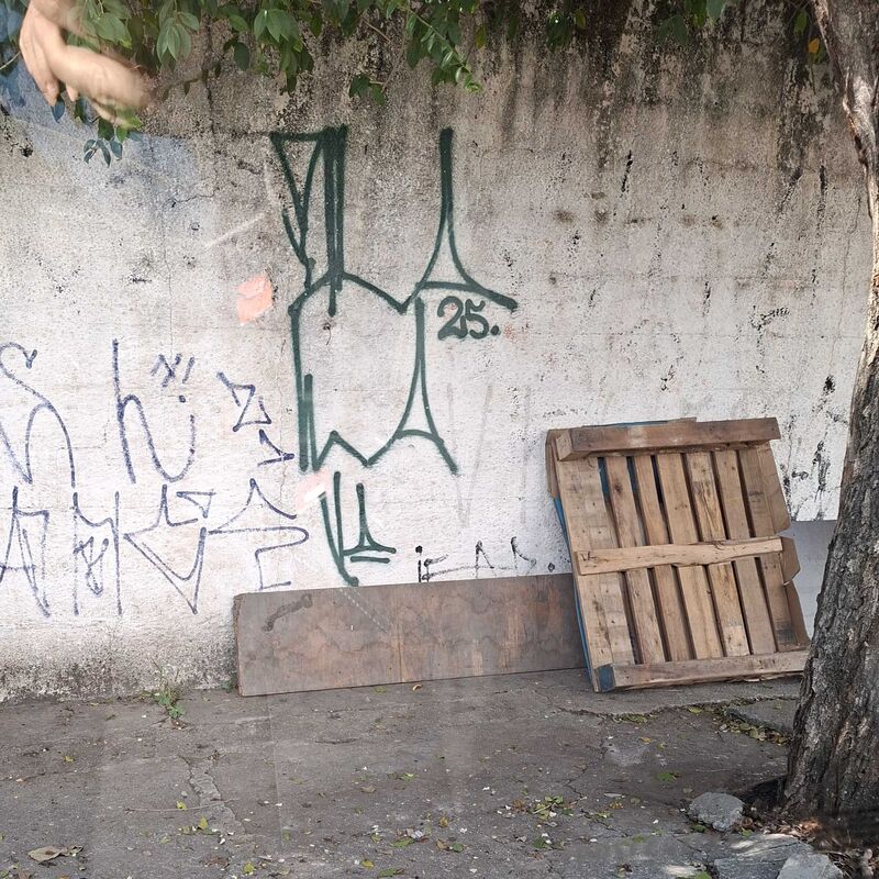 Imagem da publicação