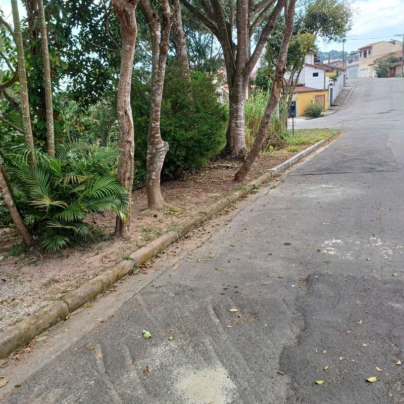 Imagem da publicação