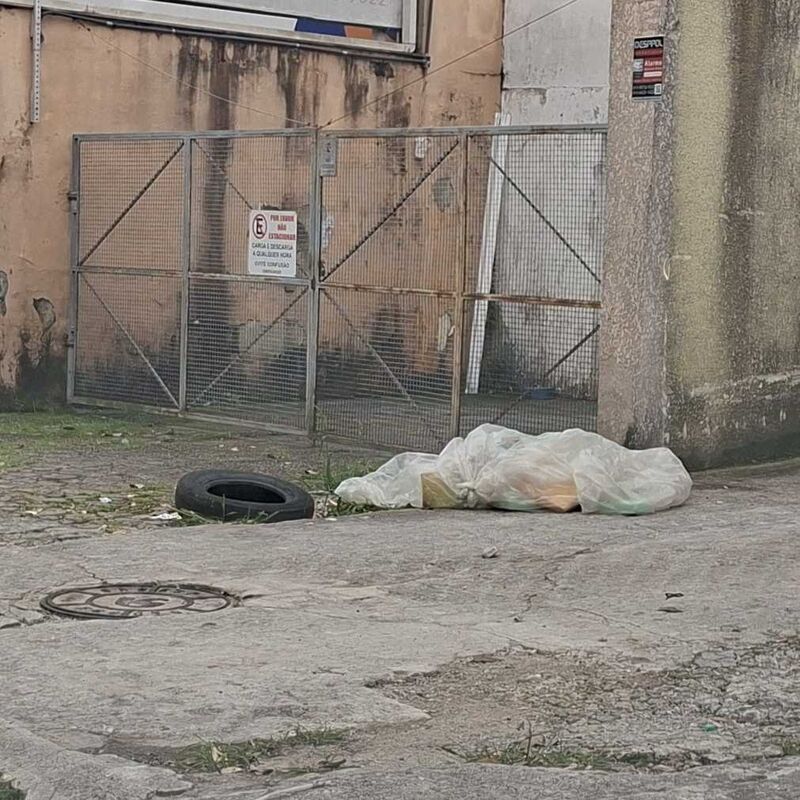 Imagem da publicação
